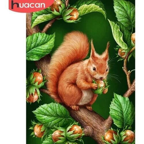 HUACAN DIY 5D Diamond Painting Animal Handmade Gift Full Square/Round Diamond Embroidery Cross Stitch Squirrel Wall Art