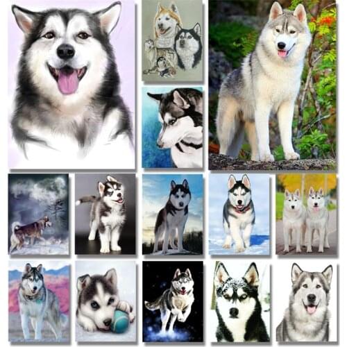 Full Round Drill Rhinestones 5d Diy Diamond Painting "lovely Husky Dog" Diamond Embroidery Cross Stitch Patterns Mosaic Crafts