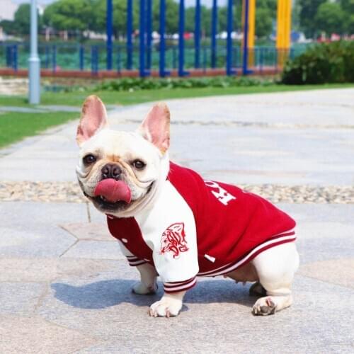 Embroidered Dog Baseball Suit Korean Style Dog Jacket Fleece Winter Dog Coat French Bulldog Clothes Fashion Pets Costumes