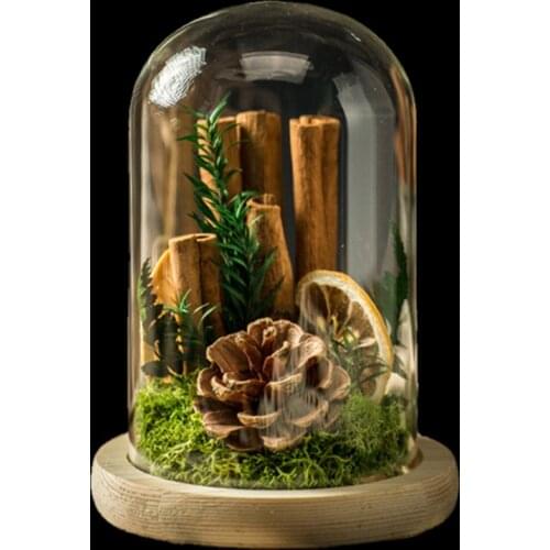 10*25cm Diameter=10cm Height=25cm Super Big Size Glass Dome Log Base Home Decoration Glass Dome Friend Gift Wedding Decoration