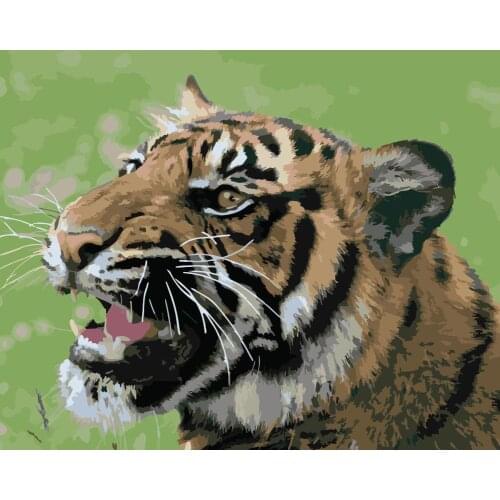 Painting By Numbers DIY Dropshipping 40x50 50x65cm Shouting grass tiger Animal Canvas Wedding Decoration Art picture Gift