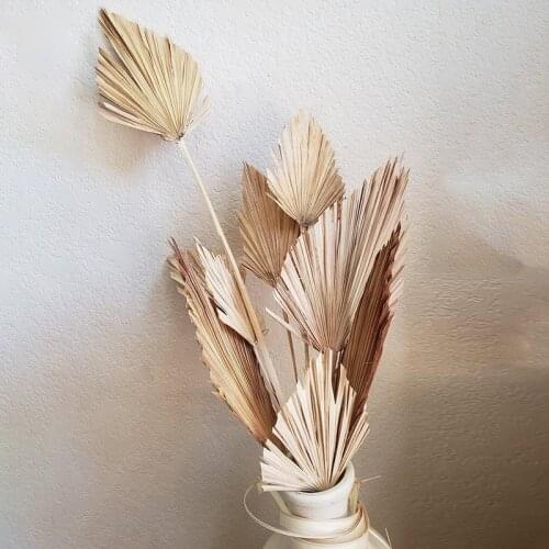 Palm Fan Leaf Dried Flower Palm Leaf Window Wedding Arch Arrangement Party Arts