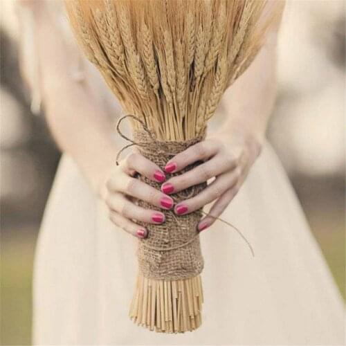 100PCS Dried Wheat Stalks Golden Natural Dried Wheat Sheaves Natural Dried Flowers Decorative Wedding Decoration Home Decora