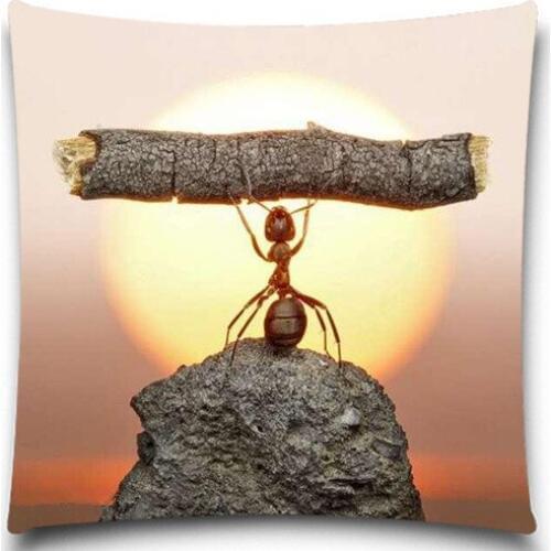 An ant holding a branch Cushion Cover For Sofa/chair Decorative Car Decor