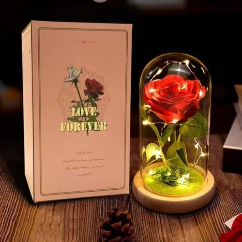 Beauty And The Beast Rose Gift Enchanted Led Galaxy Crystal Rose Flower Light Last Forever in Glass Dome Mothers Day Gift
