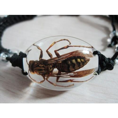 Discount in limited time free shipping 12 pcs design jewelry real honeybee lucid bottom