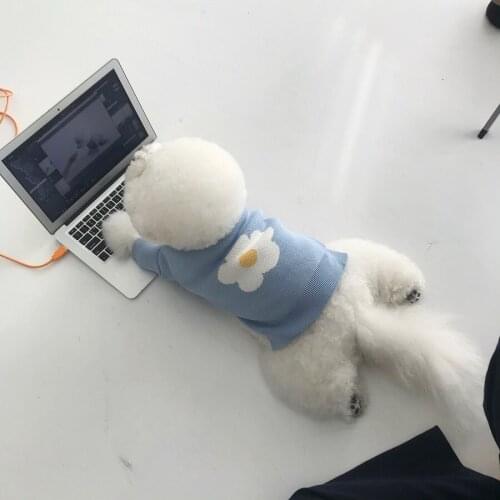 Fashion Dog Sweaters Clothing for Pet Dogs Cat French Bulldog Adidog Schauzer Coat Puppy Clothes Pugs Fleece Chihuahua