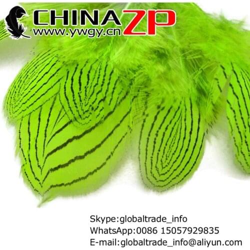 CHINAZP Factory 500pcs/lot 8~10cm Length Top Quality Dyed Lime Green Silver Pheasant Plumage Feathers for Party Decorations