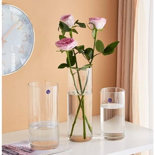 Transparent Straight Glass Vase Glass Decor Hydroponic Flower Implement Plant Vase Tabletop Vase Home Modern Flower Glass Decor