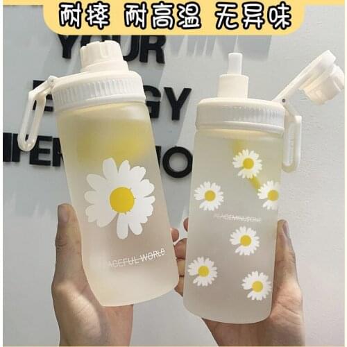 New 500m Cute Daisy Plastic Water Bottles with Straw Portable Clear Frosted BPA Free Water Bottle for Kids Students Drinking Cup