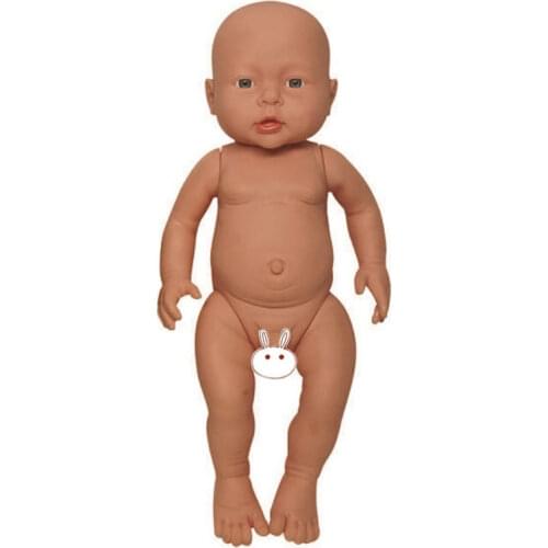 Medical Science Full-term Newborn Baby Model