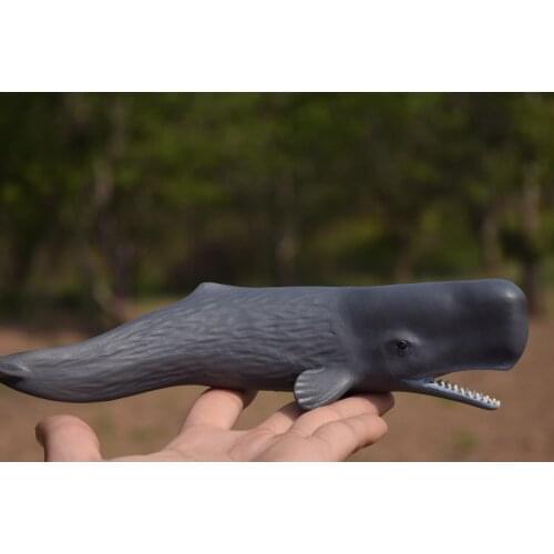 Pvc figure model toy The sperm whale
