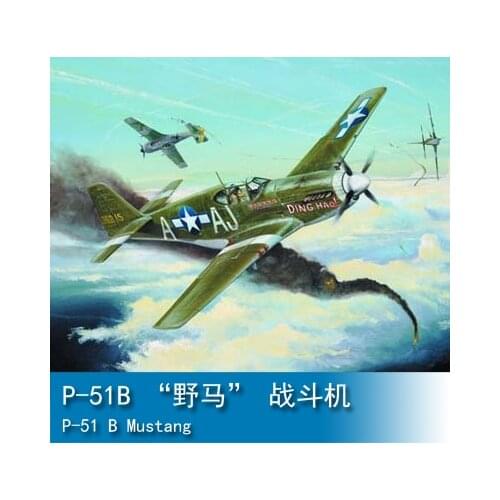 Trumpeter 02274 1/32 Aircraft Model Kit P-51 B Mustang Fighter Attack Airplane TH09069-SMT6