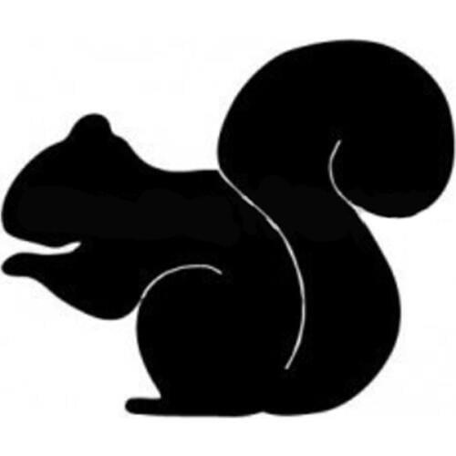 10*8.5CM SQUIRREL Cute Animal Car Stickers Decals Motorcycle Accessories Car Styling Black/Silver C2-0230