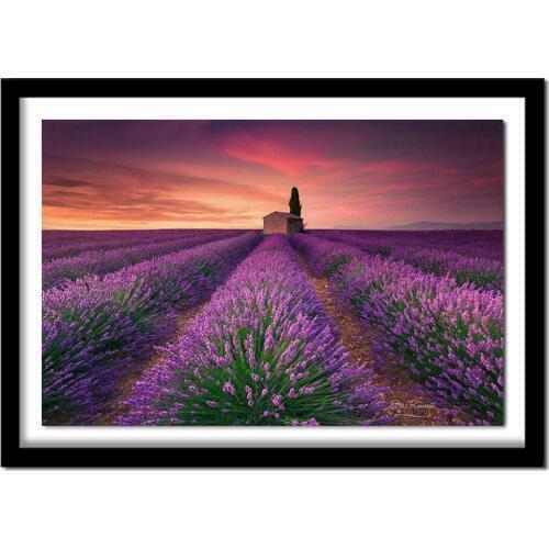 DIY Diamond Painting Rhinestones Diamond Lavender Diamond Icon Icons Embroidery Painting Purple Color ASF848