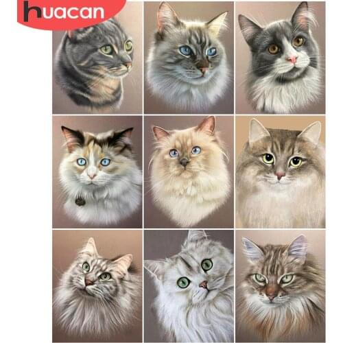 HUACAN Coloring By Number Cat Animal Kits For Adults Handpainted DIY On Canvas Home Decoration Pictures By Number Gift
