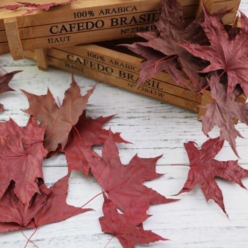 Natural Maple Leaf Dry Leaves Red Green Foliage Five Stars Leaves Bookmark Adornment Photography Shooting Props Accessories