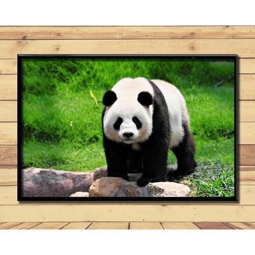 Giant Pandas Lovely And Valuable Animal (8) Wall Posters Prints Silk Art Painting For Home Wall Bedroom Decor