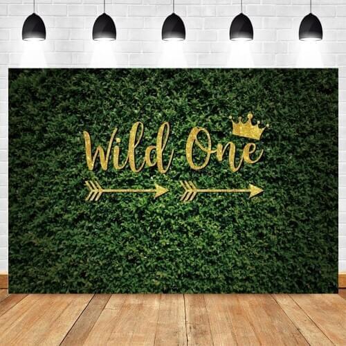 Newborn Baby Shower 1st Birthday Party Wild One Safari Party Backdrop Green Grassland Vinyl Photography Background Photophone