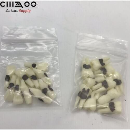 Dental examination practice dental calculus tooth grain oral dental teaching