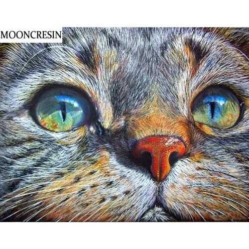 5D Diy Diamond Painting Full Square Needlework Cross Stitch Diamond Embroidery Animal Cat Mosaic Stitckers Christmas Decoration