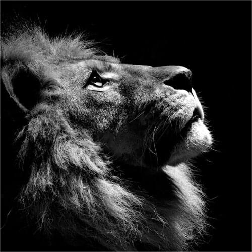 Animals Painting Lion Poster Black and White Wall Art Canvas Prints Wall Pictures for Living Room Decoration Lions head Nordic