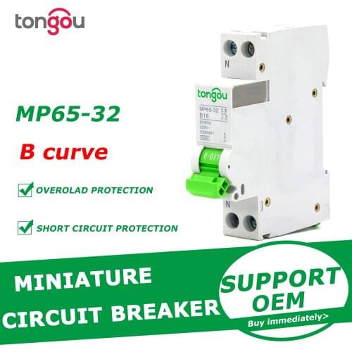 DPN 25A MCB 1P+N 110V 220V Curve B AC Mini Circuit Breaker With 5 Years Warranty