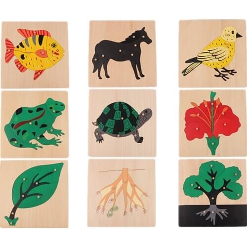 Kid Early Educational Toys baby Hand Grasp Wooden Puzzle Toy Montessori Materials for Culture Area Animal/ Botany Learning