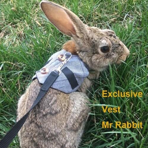 New Design Rabbit Leash Lead Vest Small Animals Mesh Cotton Collars Plain Grey Harnesses S M L Harness with Leash Pet Strap Set
