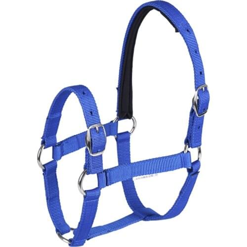 Thickened Horse Head Collar Adjustable Safety Halter Horse Riding Training Rope Riding Racing Equipment Training Rope