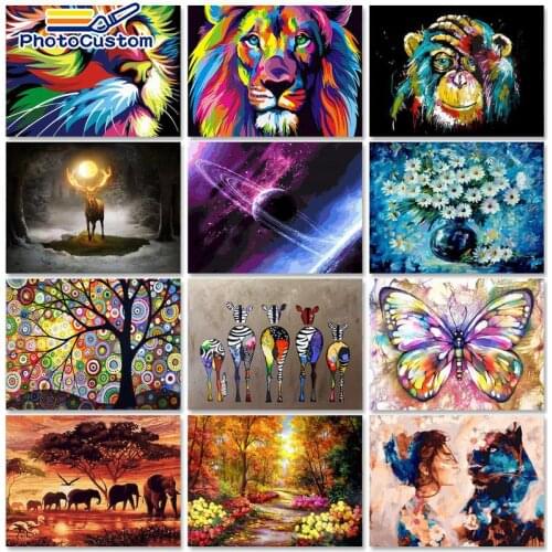 Zebra Painting By Numbers Coloring On Canvas For Adult Paint DIY With Frame Animal Drawing Picture By Number Decoration Wall art