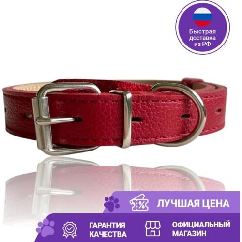 DOG&GO Collars, Harnesses And Leashes