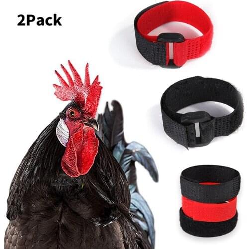 2PCS No Crow Rooster Collar Chicken Collar Noise Free Anti-Hook Neckband Collars Supplies