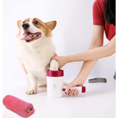 GeerDuo Products For Cats