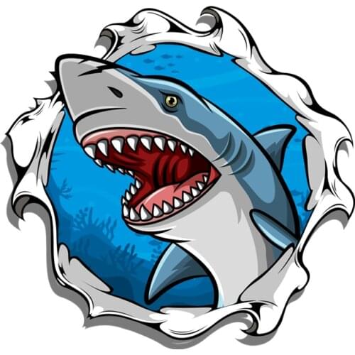 S40733# Various Sizes Self-adhesive Decal Shark Car Sticker Waterproof Auto Decors on Bumper Rear Window
