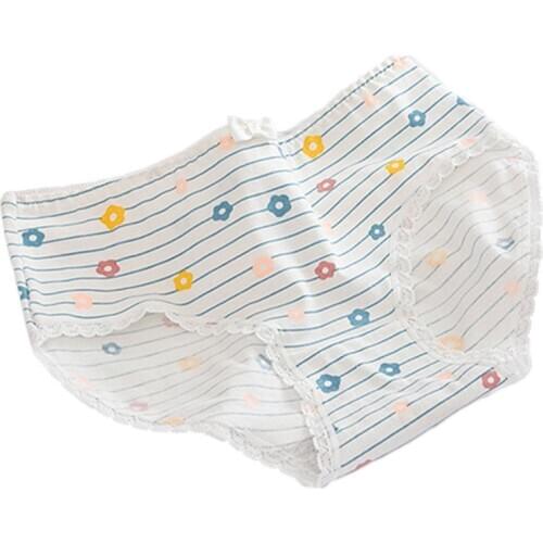 5PCS/LOT Womens Panties Sexy Lingerie Cotton Underwear Women Girls Low-Rise Soft Briefs Women Underpants Female Panty XXL