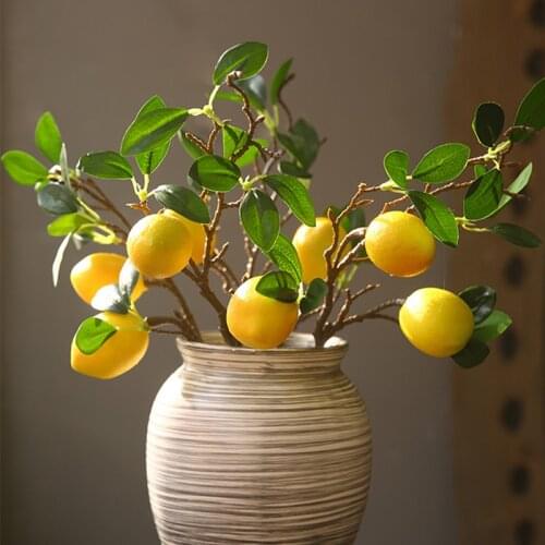 Amorobe Artificial Fruit