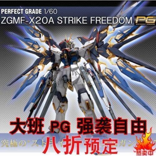 DB Gundam ZGMF-X20A Strike Freedom Gundam Model 1/60 PG with bracket