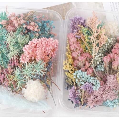 DIY Crafts Filling Materials Dried Flowers For Epoxy UV Resin Pendant Necklace Jewelry Making Craft 30g