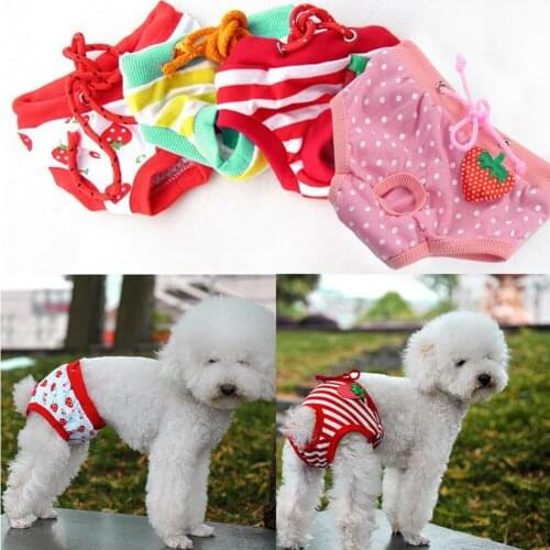 Pet Dog Physiological Pants Strawberry Print Cotton Puppy Shorts Teddy Anti-harassment Panties Female Dog Estrus Sanitary Pants