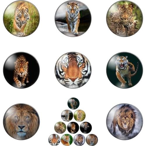 Forest Animal Lion Tiger Leopar Round Photo Glass Cabochon Demo Flat Back Making Findings Handmade DIY Accessories