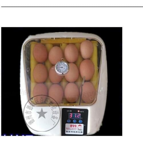 Small Cockfight Egg Incubator Pigeon Egg Incubator Mountain Egg Incubator Automatic Holding Chicken Incubator