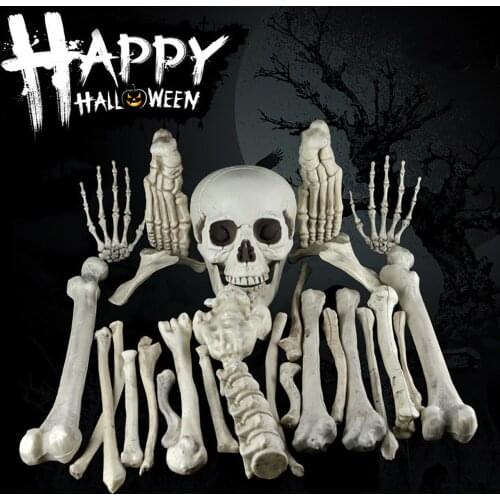 Halloween Props Party Decoration Human Skull Cranium Skull Anatomy Skull Decoration Cranium Skeleton Human Bone Set Ornaments