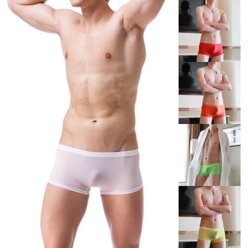 Litthing Men's Transparent Briefs