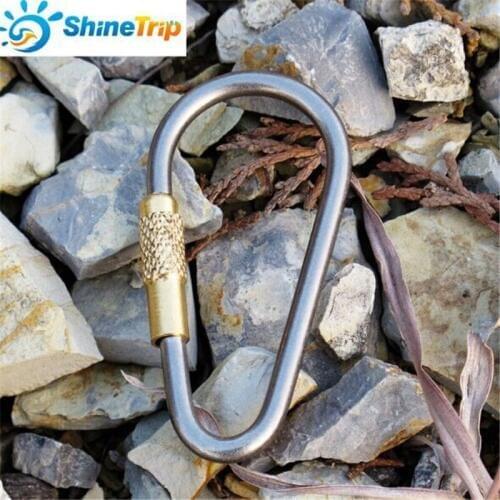 Outdoor EDC Tool (10 pcs/lot) D Shape Titanium Alloy Brass Buckle Backpack Hanging Hook Carabiners