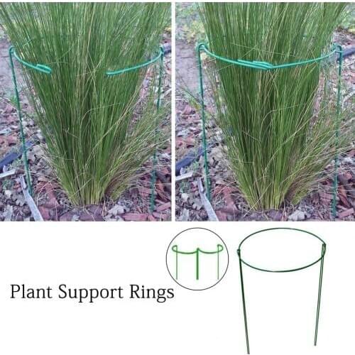 2PCS Garden Plant Support Rings For Clematis Morning Glory Lily Tomato Cucumber Growth Support Rack Gardening Supplie