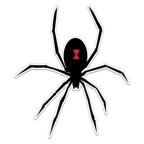 Black Widow Spider Graphic - Vinyl Sticker Waterproof Decal