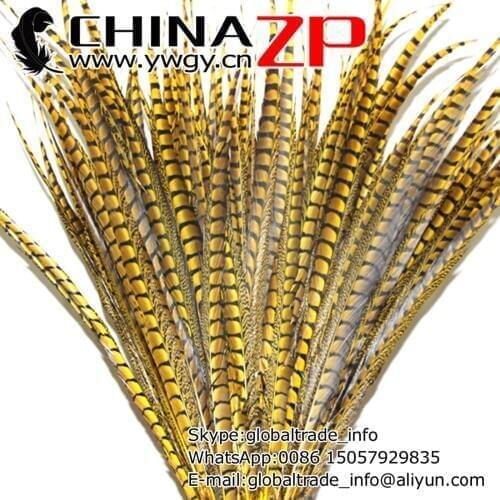 Made in CHINAZP Factory 50pcs/lot Size 30~35 inch(75~87cm) Best Quality Dyed Yellow Long Lady Amherst Pheasant Tail Feathers