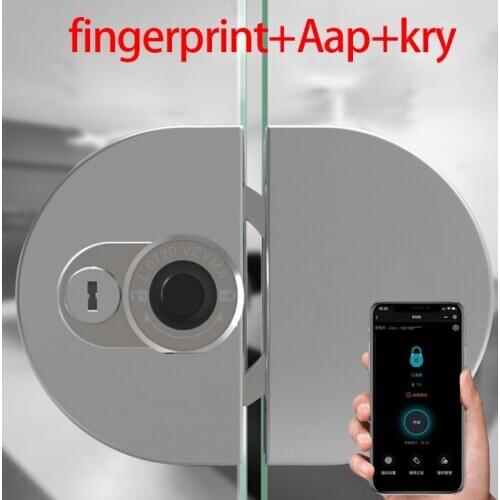 Home office electronic smart fingerprint glass door lock, single and double door keyless lock, Bluetooth lock, APP control