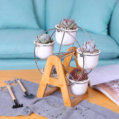Set of Ferris Wheel Design Flowerpots White Ceramic Succulent Planter Pots 5 Bonsai Panters with 1 Bamboo Shelf